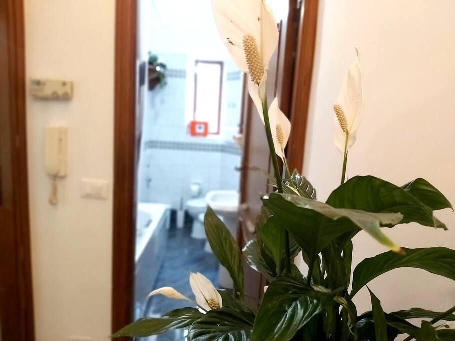 Appartamento Al Colosseo Roma Ngoại thất bức ảnh